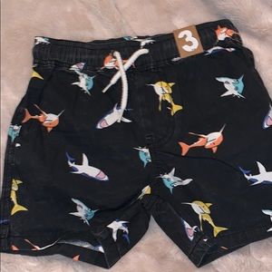Little boys shark shorts